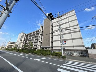 甲子園第6コーポラスの物件外観写真